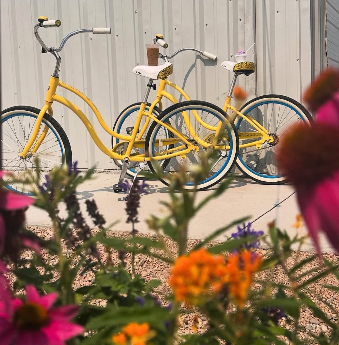 Cruising Bicycle Rentals at Price's Rentals, Johnson Lake