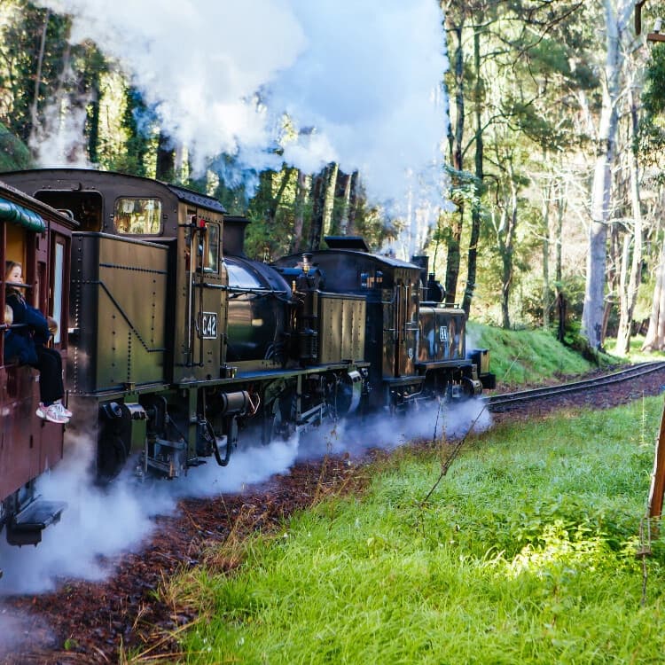 Puffing Billy & Dandenong Ranges: Half-Day Steam Train to Sassafras from Melbourne