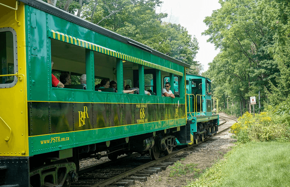 Open-air heritage train rolling through summer forest scenery