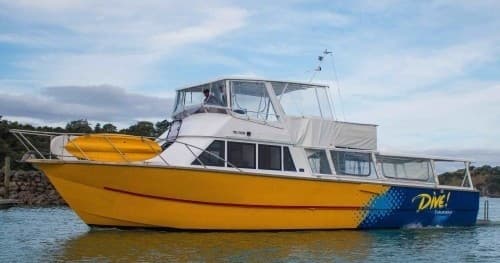 Private 8-Hour Tutukaka Charters to Poor Knights, Twin Wrecks & Sea Caves