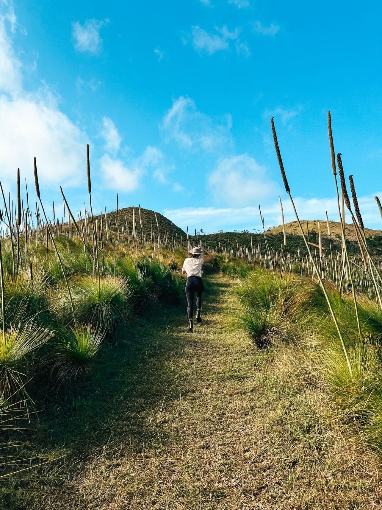 South Molle Island Walks with Scamper Island Camping Water Taxi