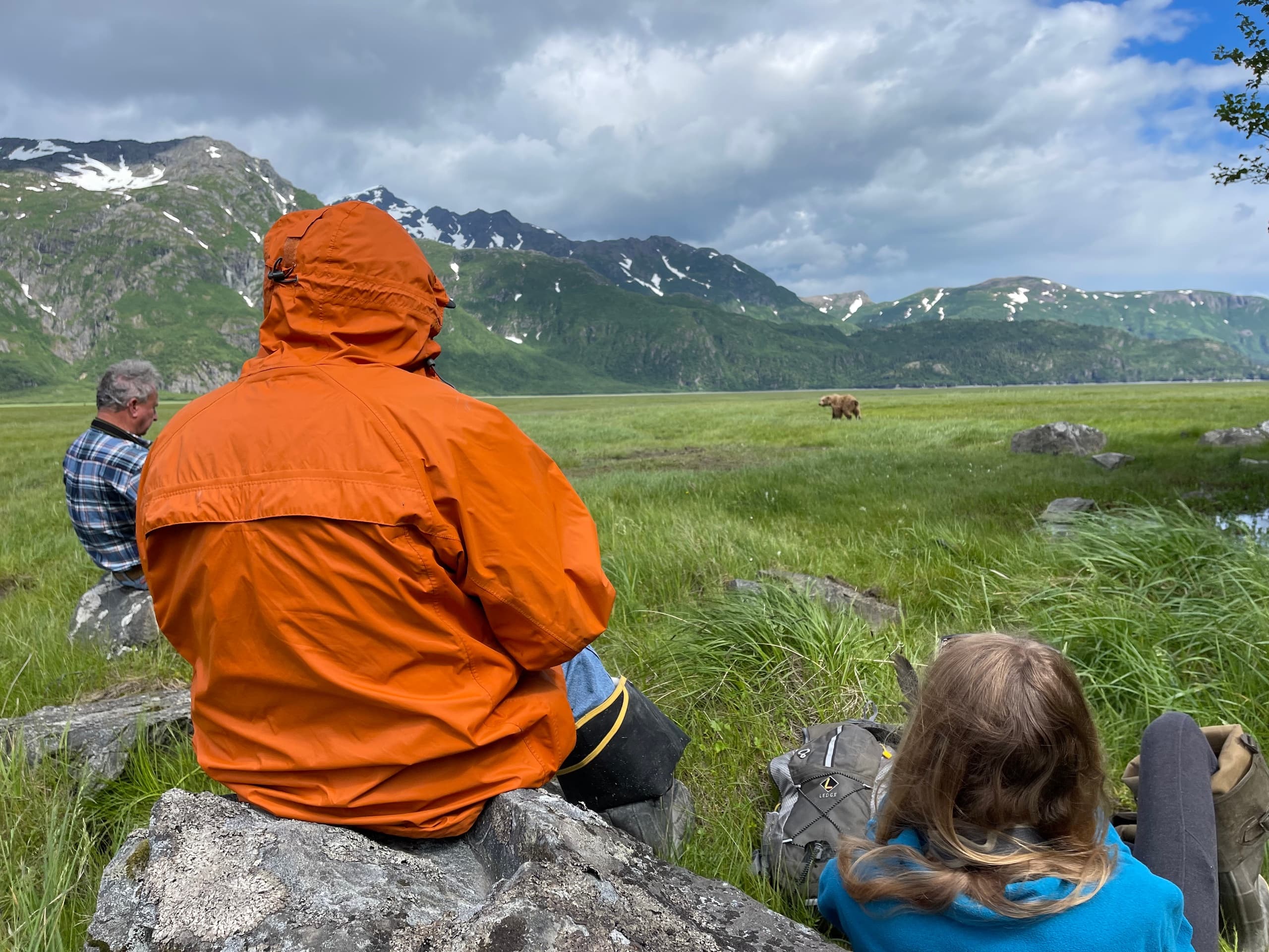 Alaska Airplane Safari Adventure Over Wilderness