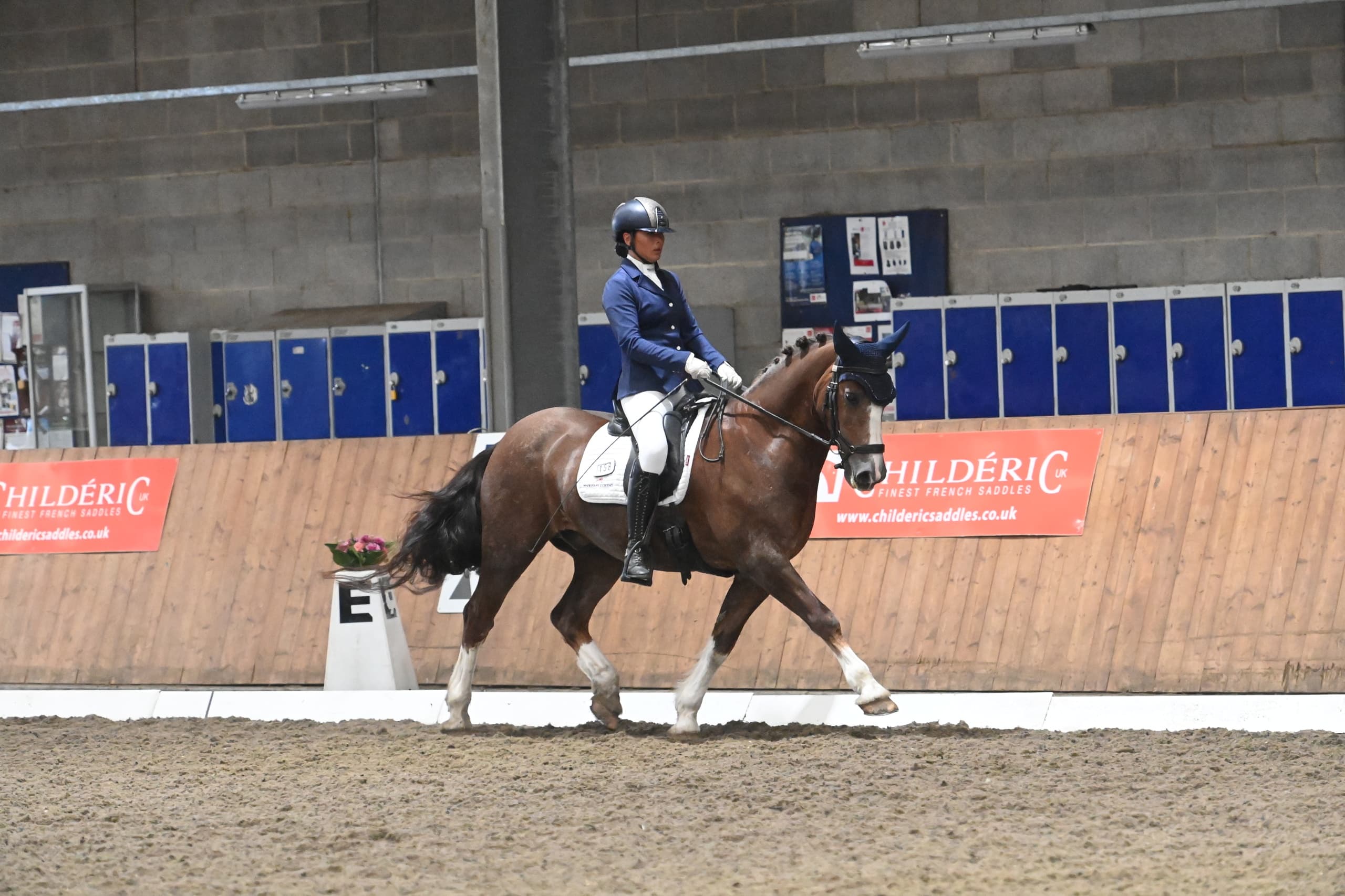 Private Riding Lesson in Sway: 30-Minute One-to-One Sessions in the English Countryside