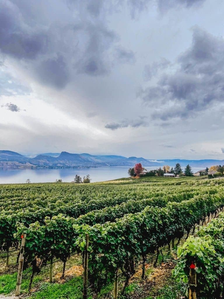 Bubbles and Lake Views: Naramata Bench Sparkling Wine Tour from Penticton