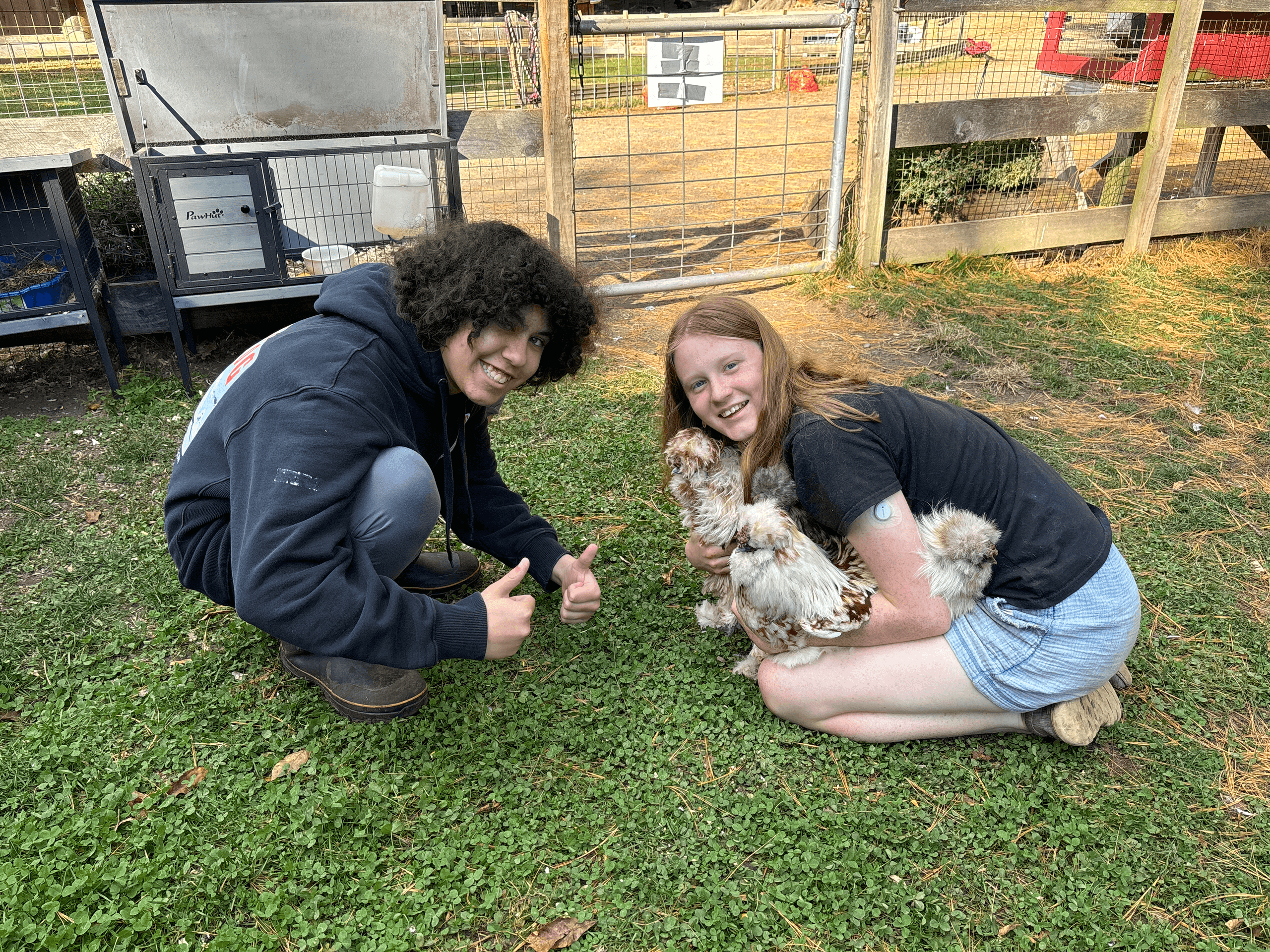 Teens crouching on farm lawn holding chickens, outdoor animal visit