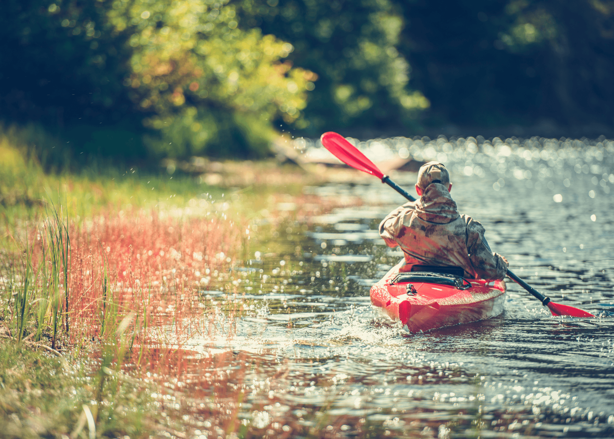 Kayaking the Duck River: Normandy Dam to Huffman Bridge Adventure in Tennessee