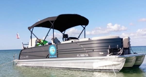 Snorkeling & Dolphin Watching with Salty Fish Excursions in Port St. Joe