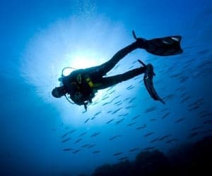 Advanced Open Water Diver Course in Monterey, California