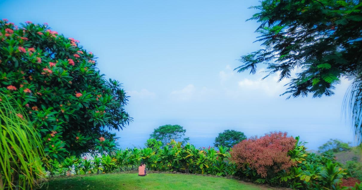 Ocean-view garden terrace at Ginger Hill Farm, scenic lookout