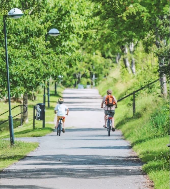 Central Park Bike Rentals with Ride in Central Park