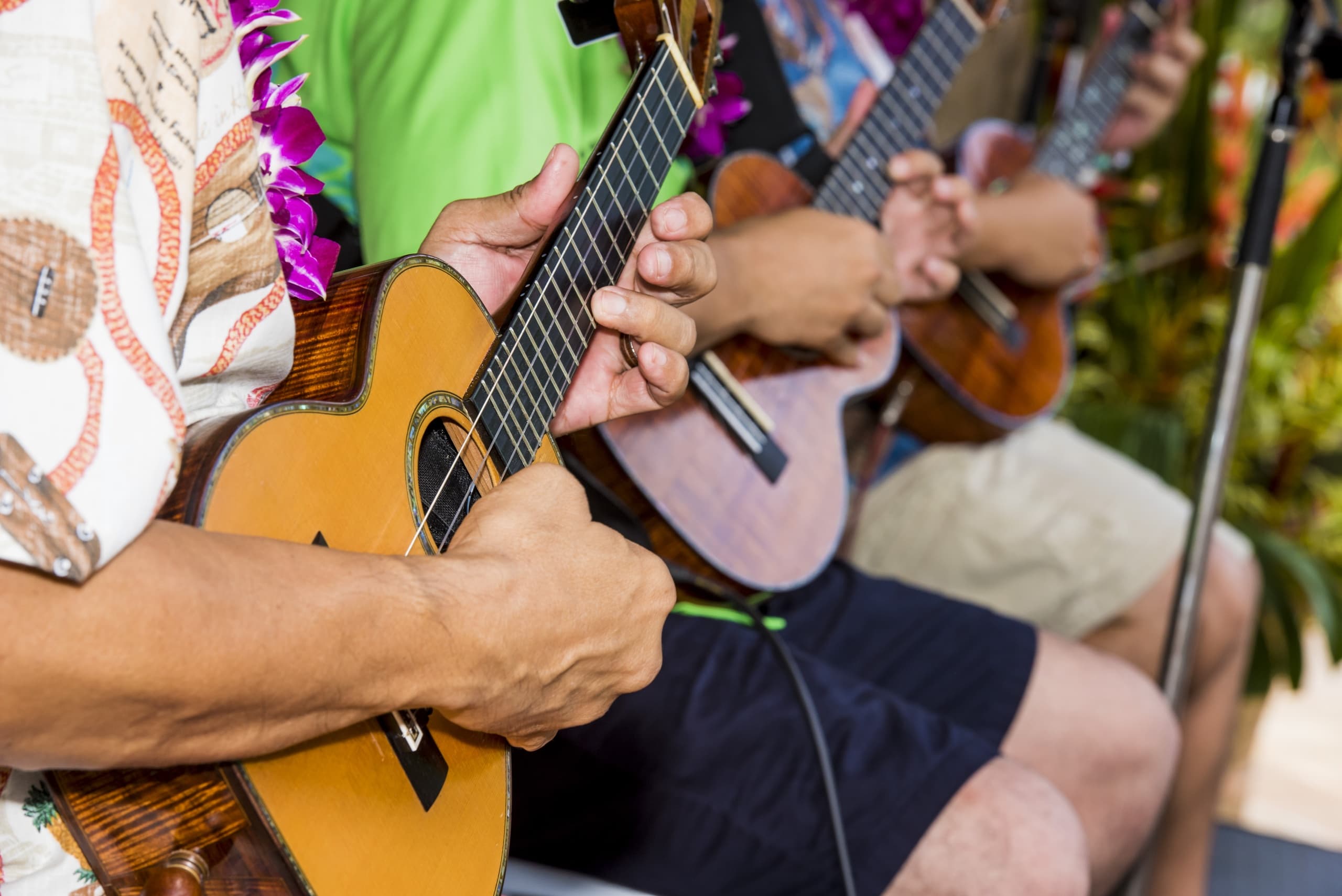 The Melodies of Aloha: A Cultural Tour in Hilo, Hawaii photo 1