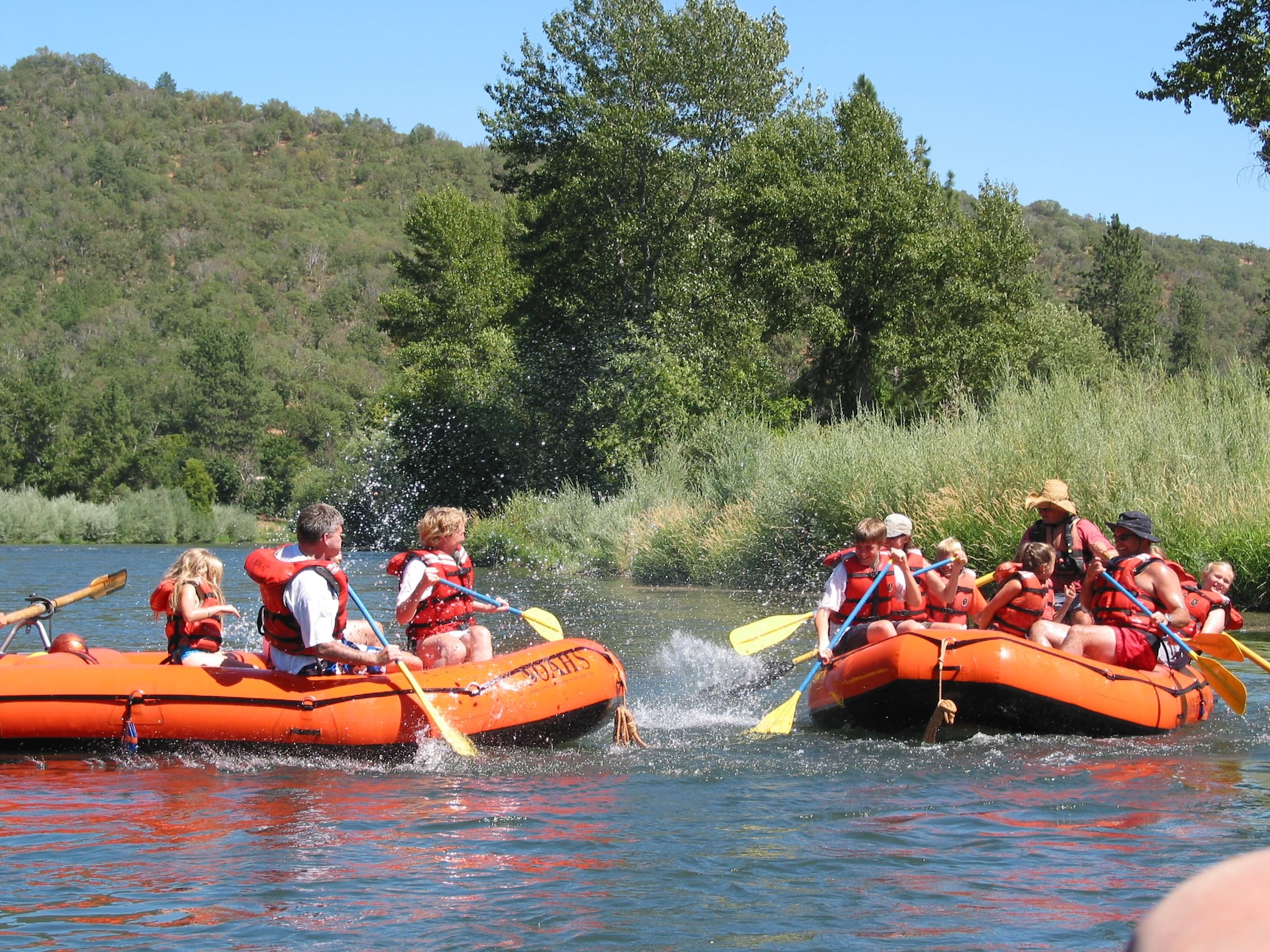 Raft groups floating on scenic forested river with open sky