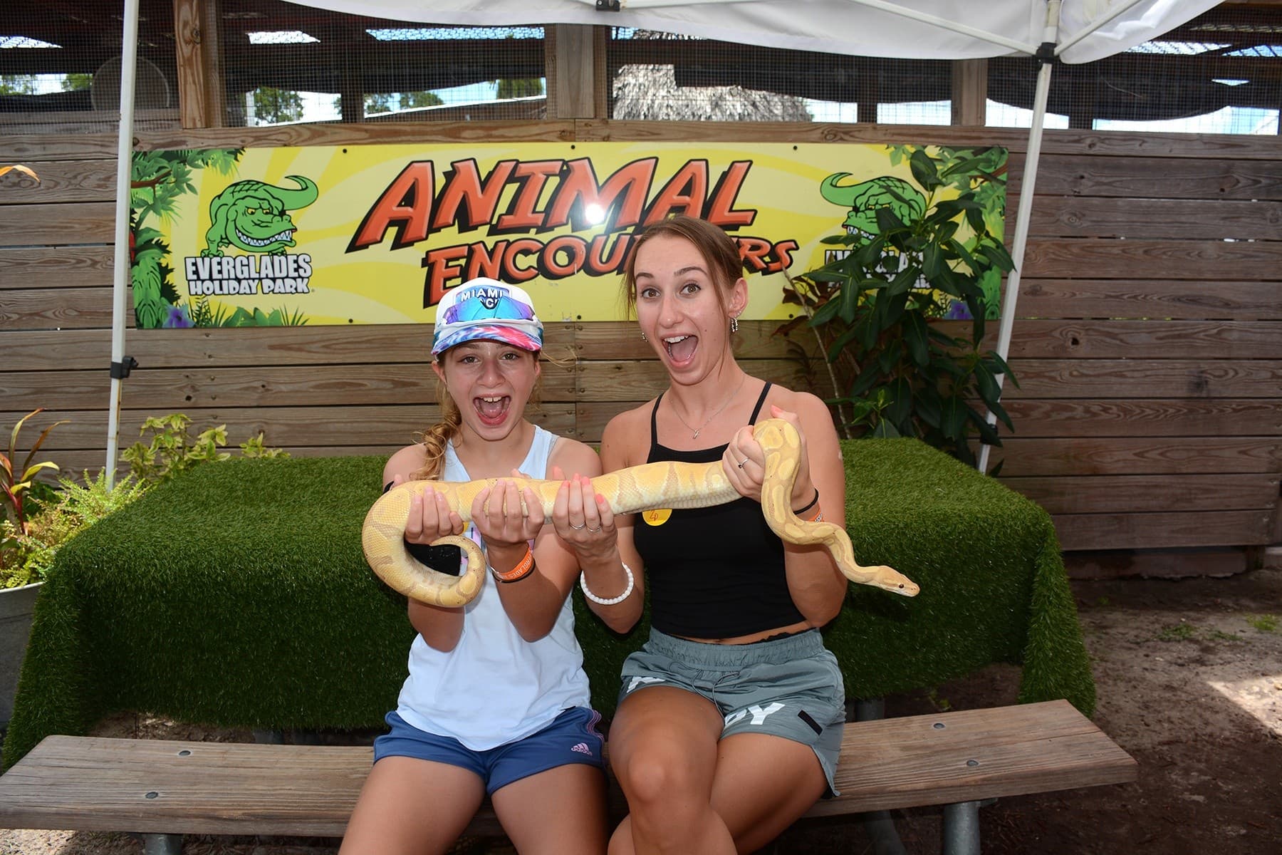 Thunder Through the Glades: 60-Minute Private Everglades Airboat Tours from Fort Lauderdale photo 3