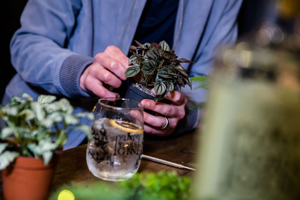 York Gin Bottle Terrarium Workshop: Build a Mini Tropical Garden with Alice photo 4