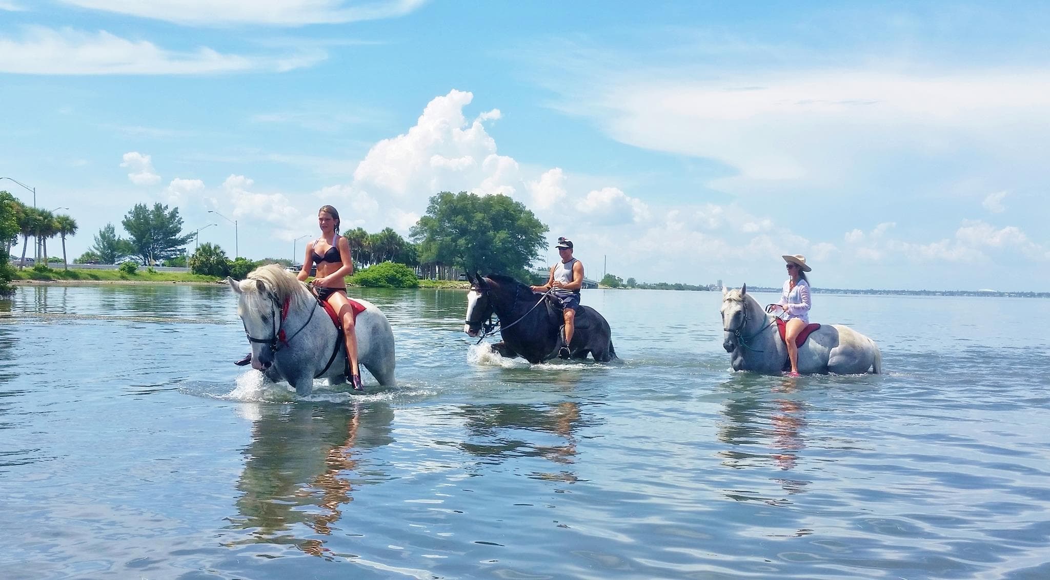Beach horseback riding with riders splashing through shallow surf