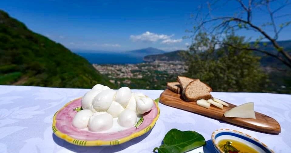 Land Adventures at Sorrento Farm Life | Mozzarella & Pizza