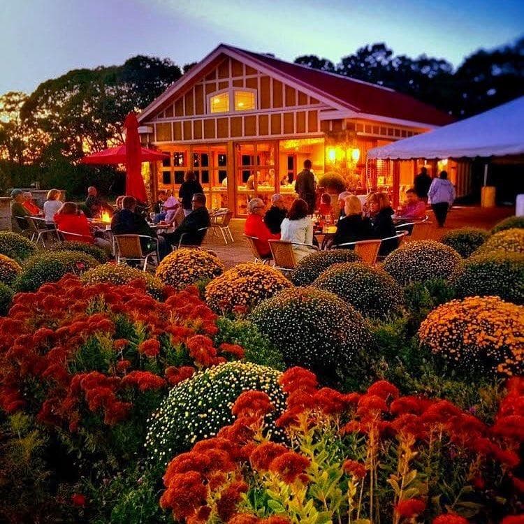 Evening patio and floral landscaping at Cape May winery tasting