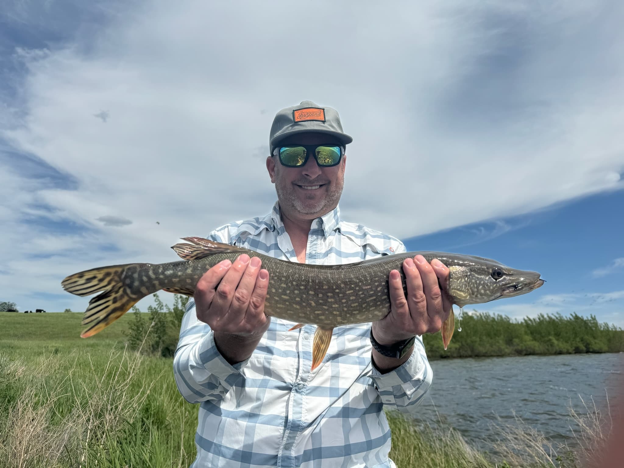 Pike On The Fly: Guided Northern Pike Fly-Fishing Near Calgary photo 1