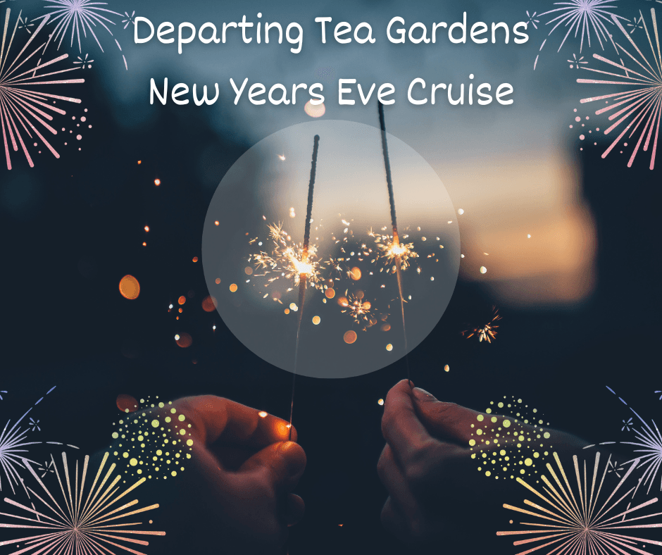 Water Activities: New Years Eve River Cruise by TG Ferry Service