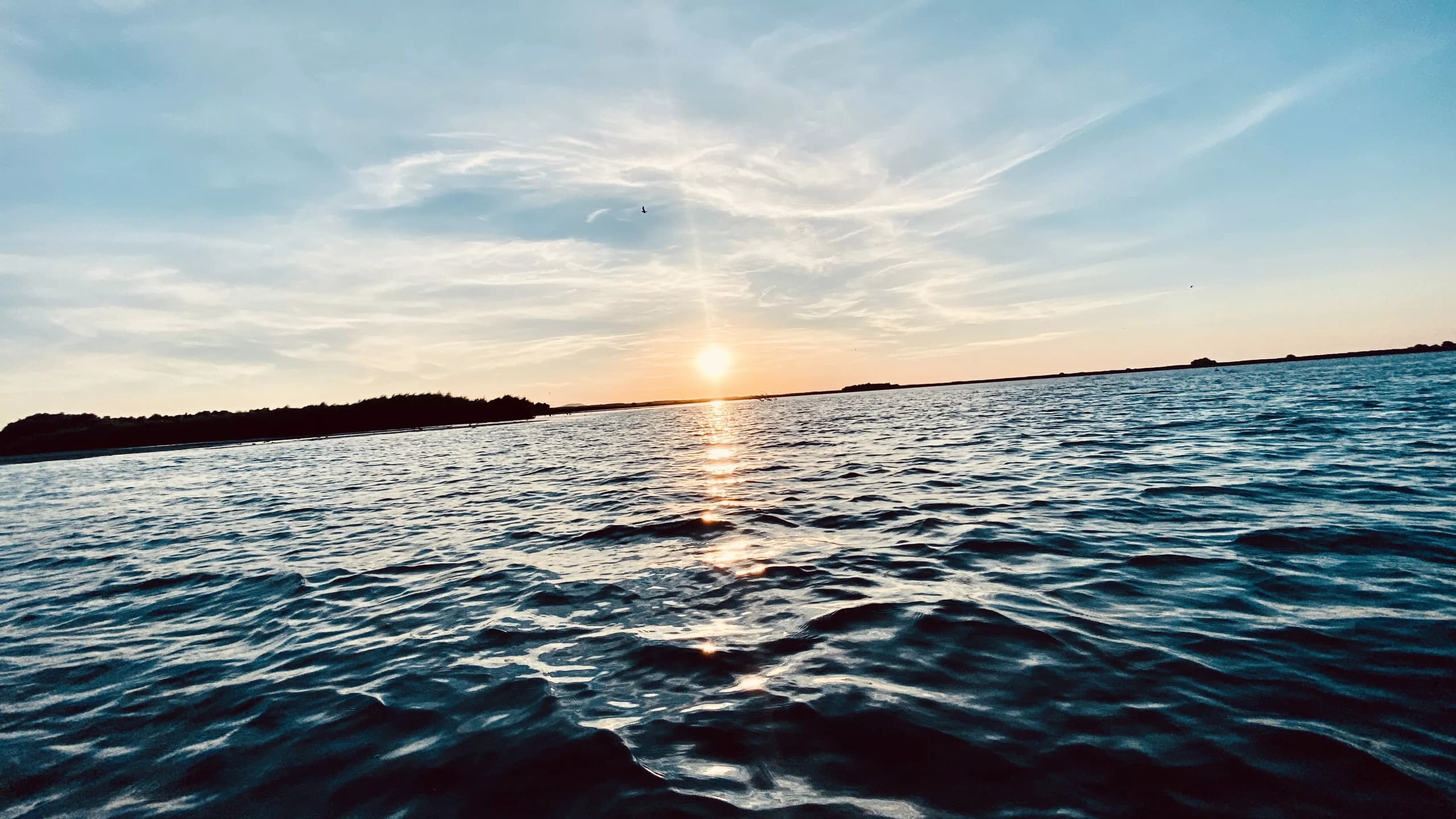 Water-Activities: Danube Delta Boat Tour to the Black Sea with Ondas De Angelo Romania