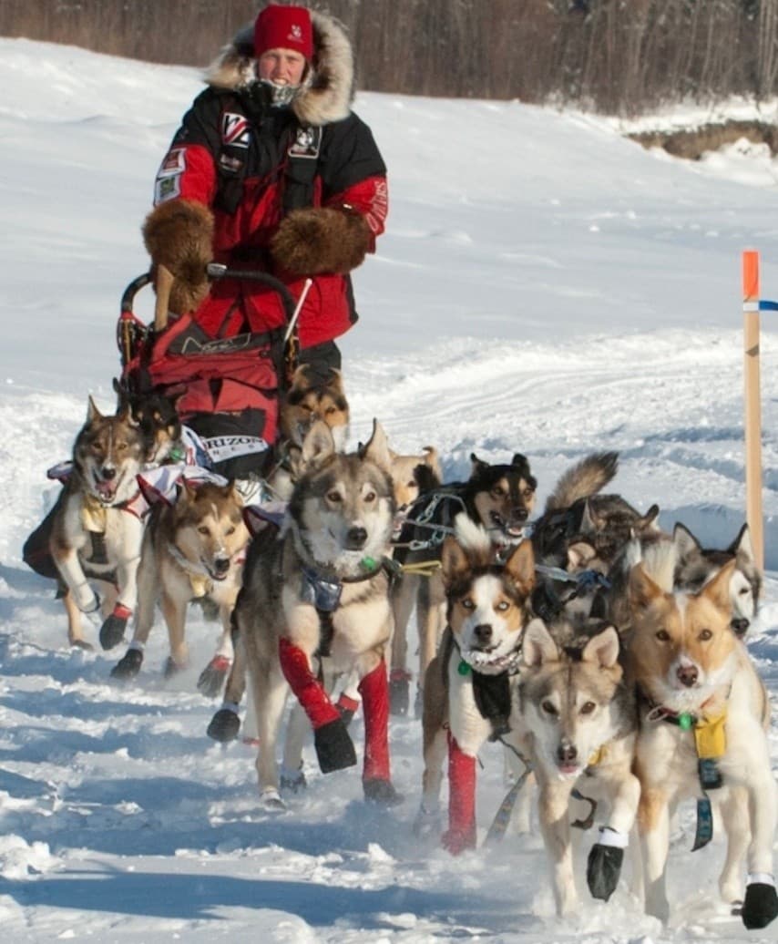 Alaskan Adventure Films in Anchorage: Bears, the 1964 Quake, and Iditarod History