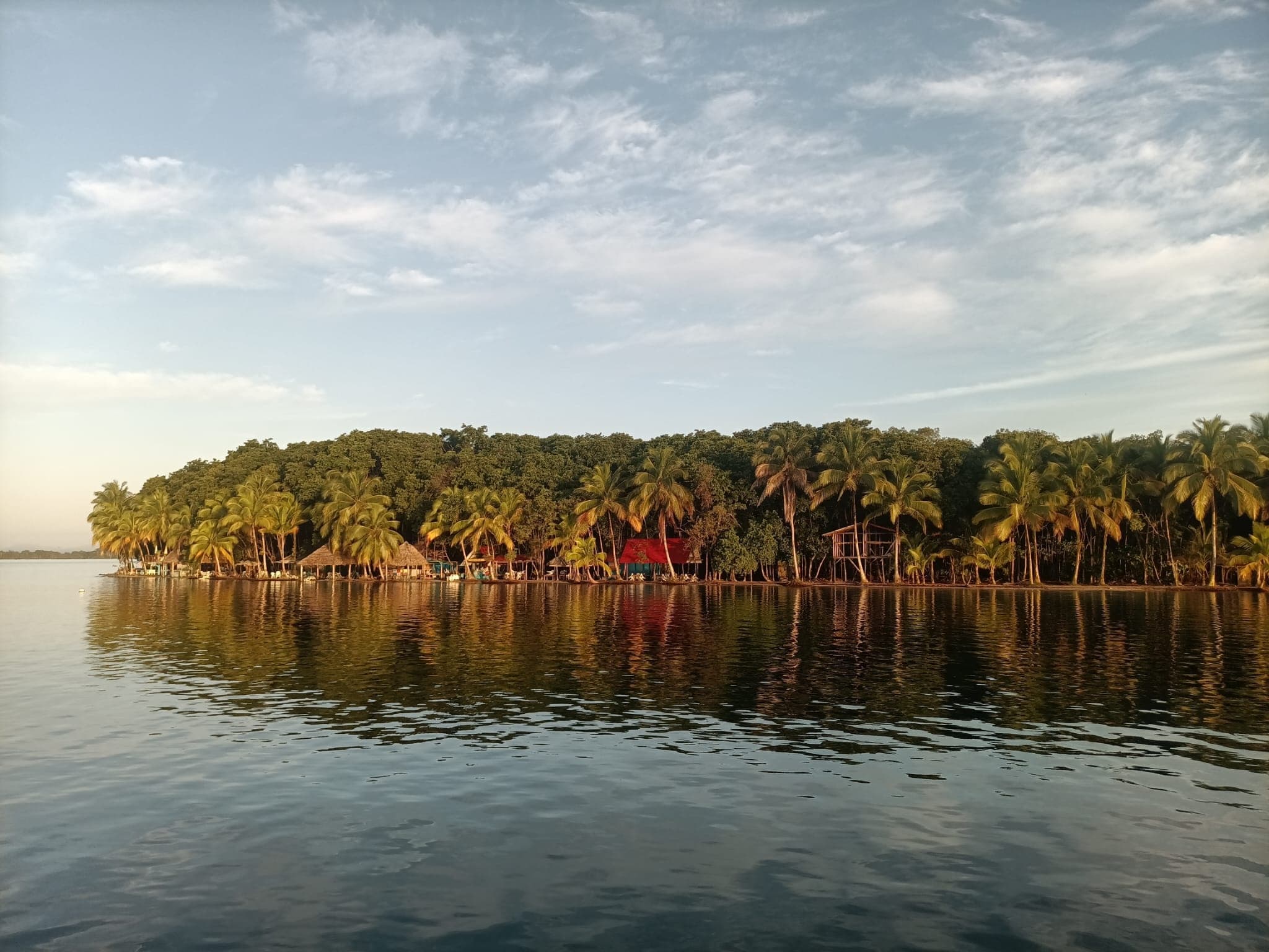 Starfish Beach & Bird Island Sailing Adventure in Bocas del Toro