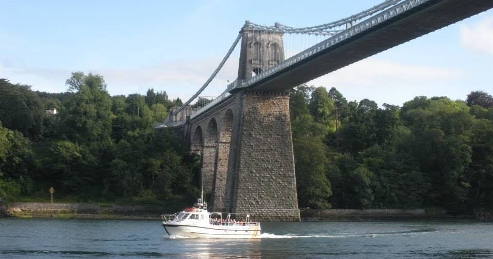 Wildlife & Sightseeing Cruise with Starida Puffin Island Cruises on Anglesey