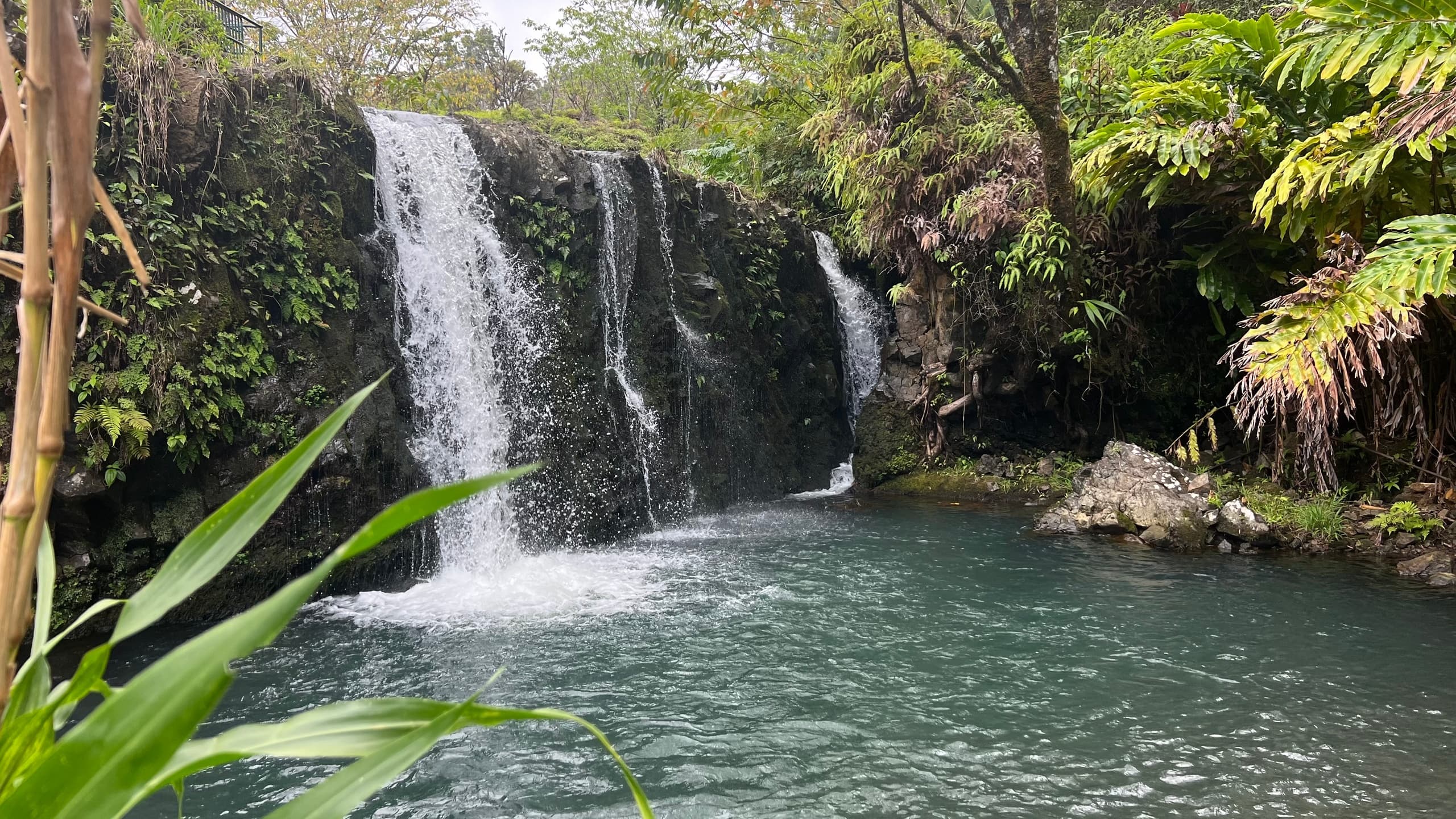 Epic Road to Hana Adventure with Airport Pick-up in Kahului