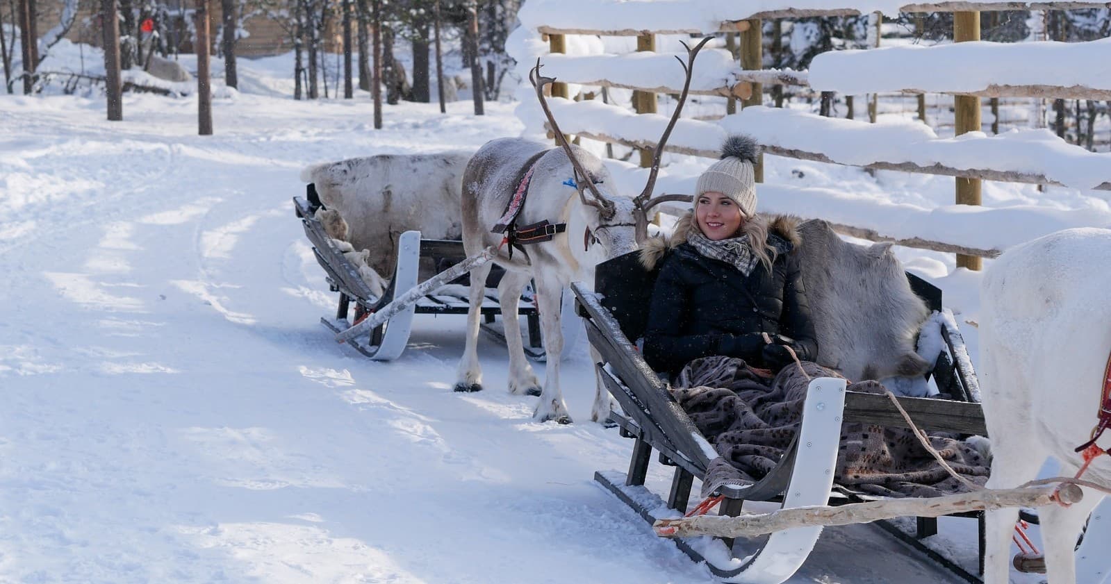 Reindeer Sleigh Ride at Northern Lights Village Saariselkä