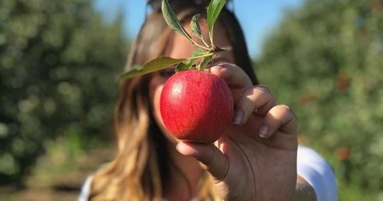Fruit Picking & Family Fun at Nature's Bounty