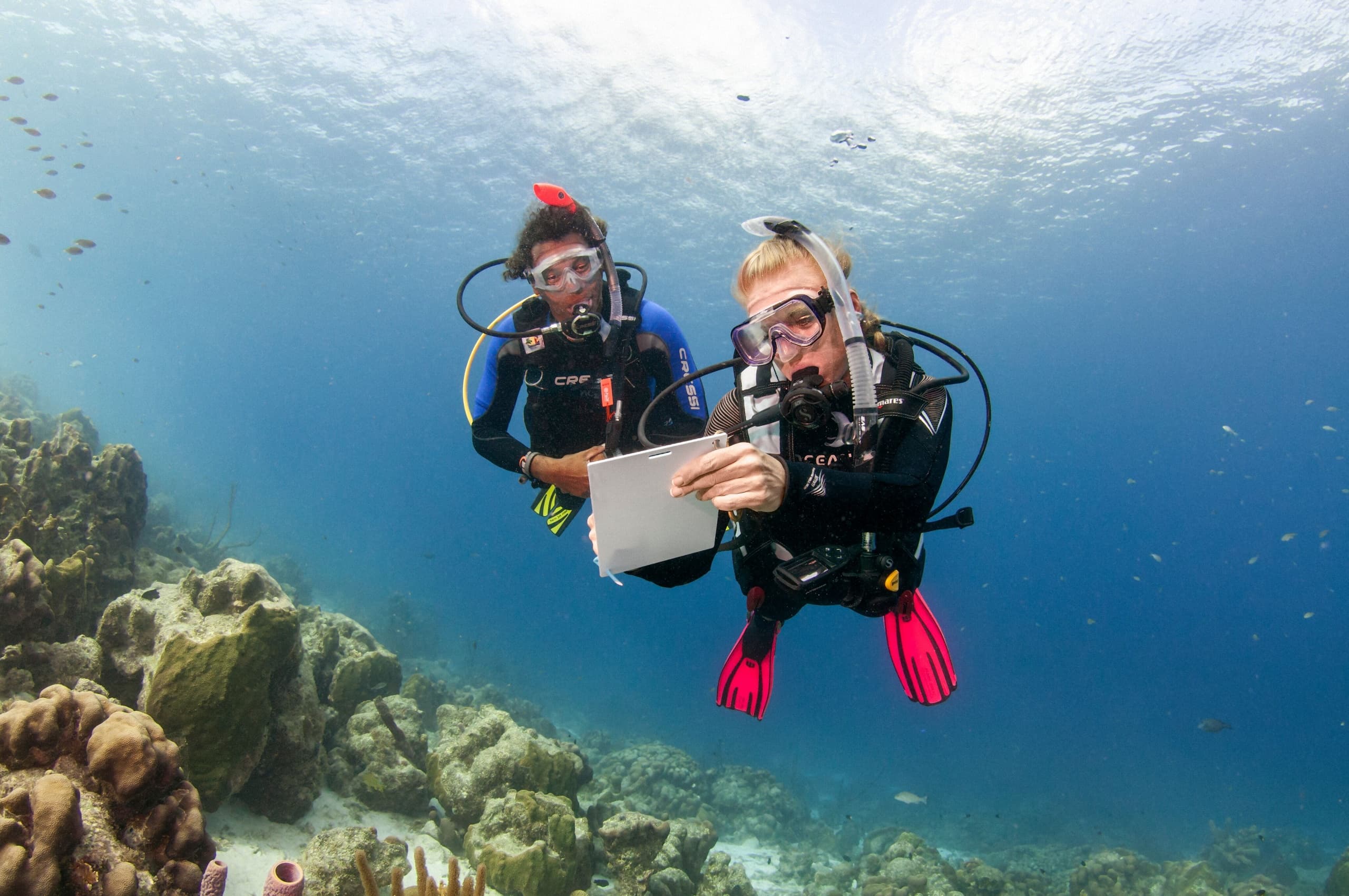 PADI ReActivate: One-Day Dive Refresher in Chania, Crete
