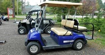 Golf Cart Adventures with The Toy Shop of Eagle River, LLC in Eagle River