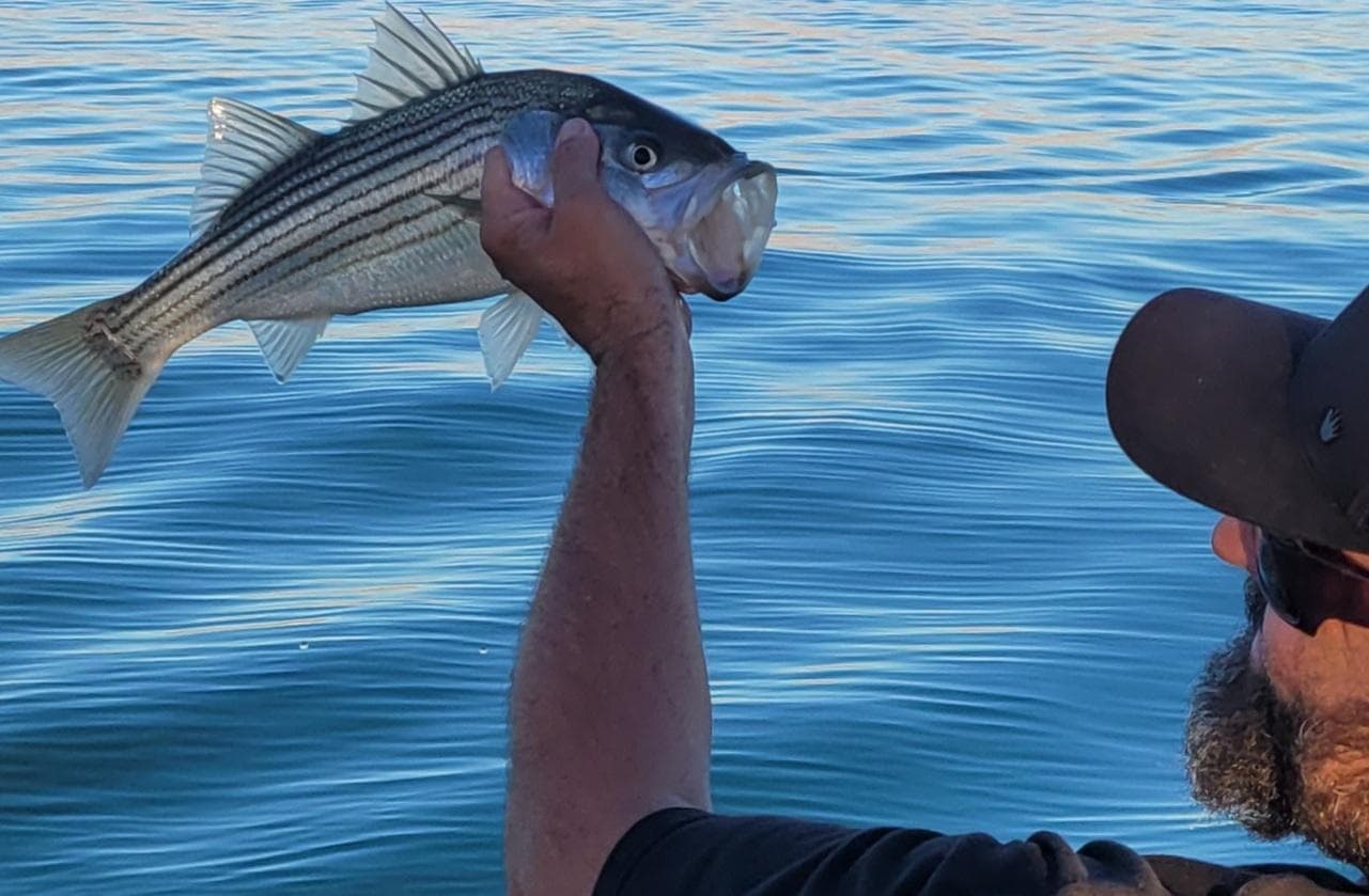 Angler holding striped bass over calm Lake Havasu waters