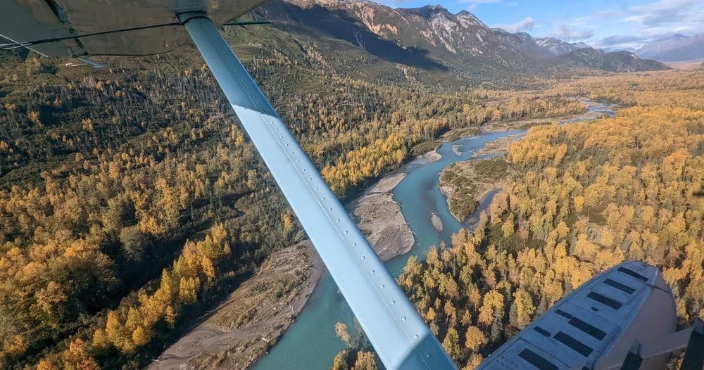 Luxury Guided Bear Viewing Flight in Homer, Alaska