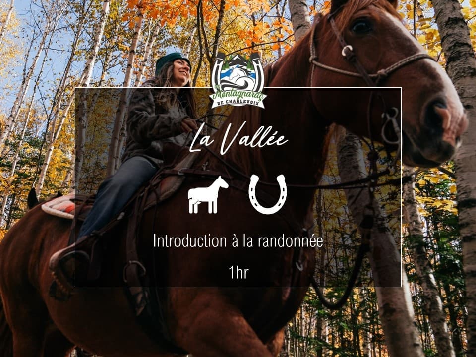 Horseback riding through autumn forest trails in Charlevoix