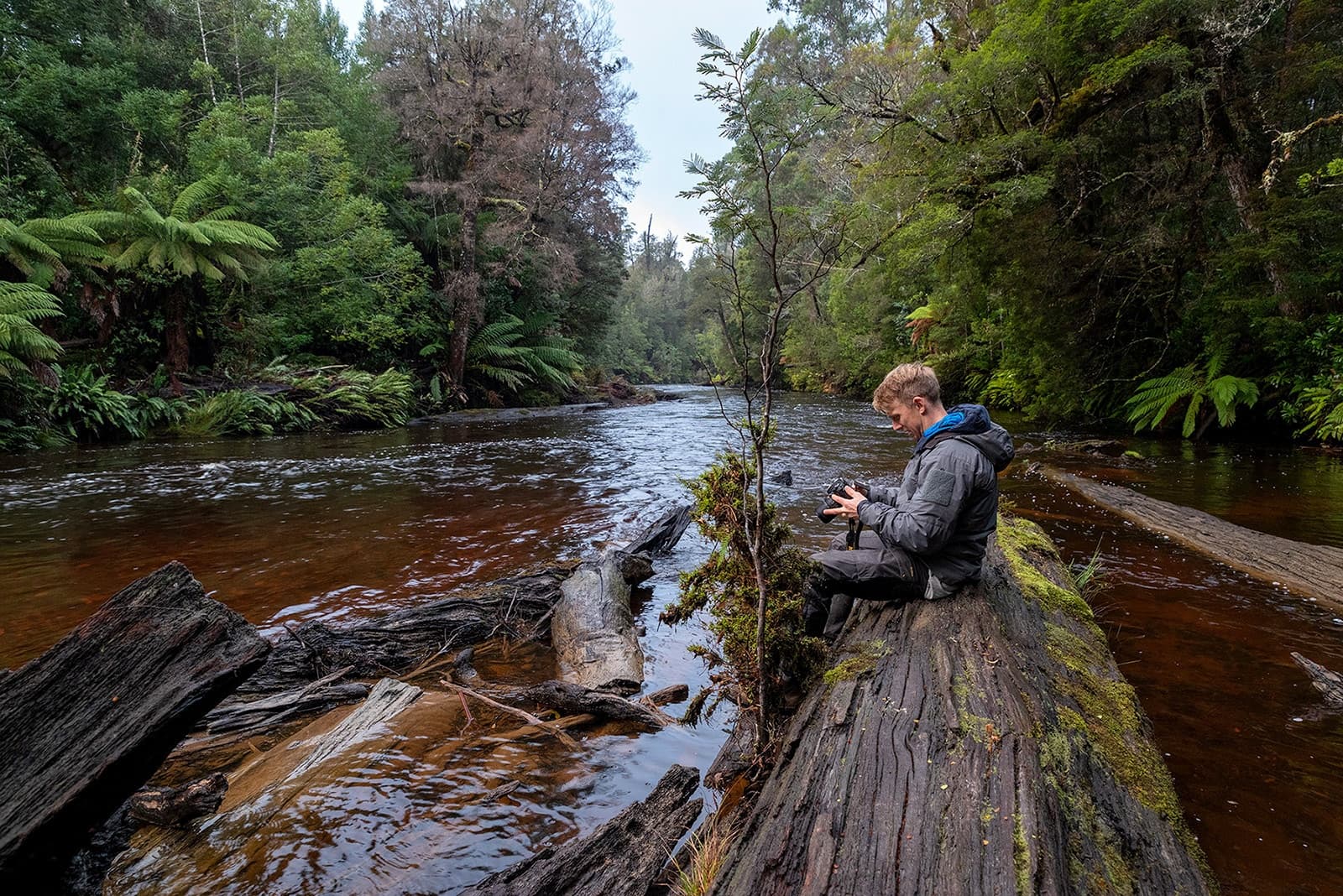 Tasmania’s Mt Field & Styx Valley Photo Tour by Luke O'Brien