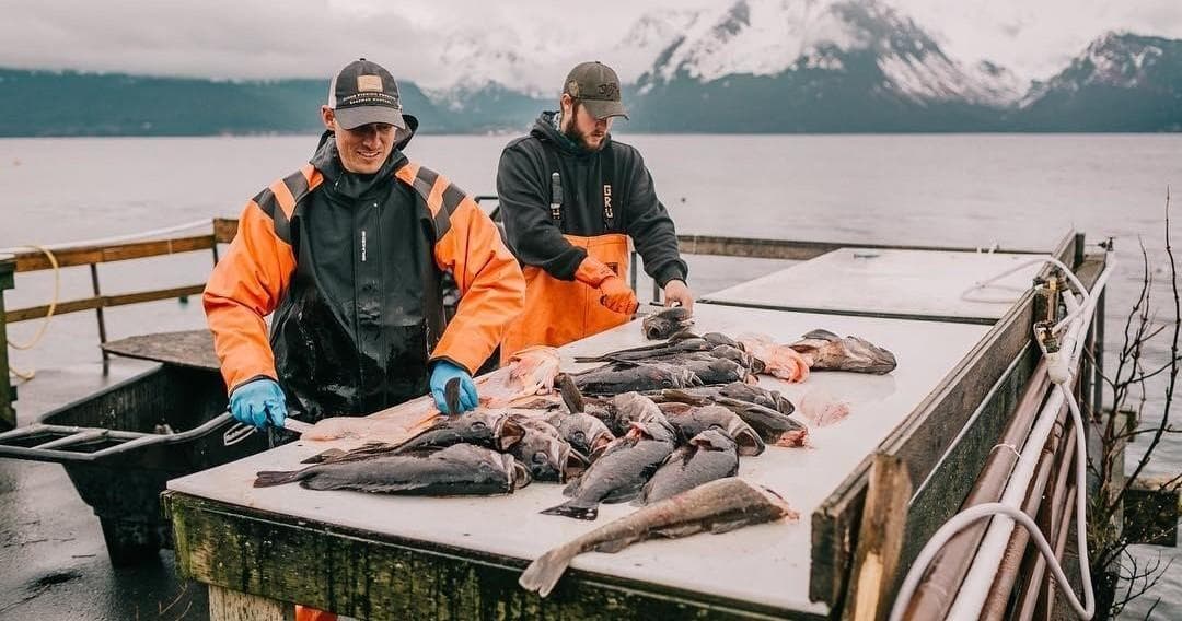 Halibut, Salmon, Rock Fish & Ling Cod* Multi Species Combo Fishing Charter