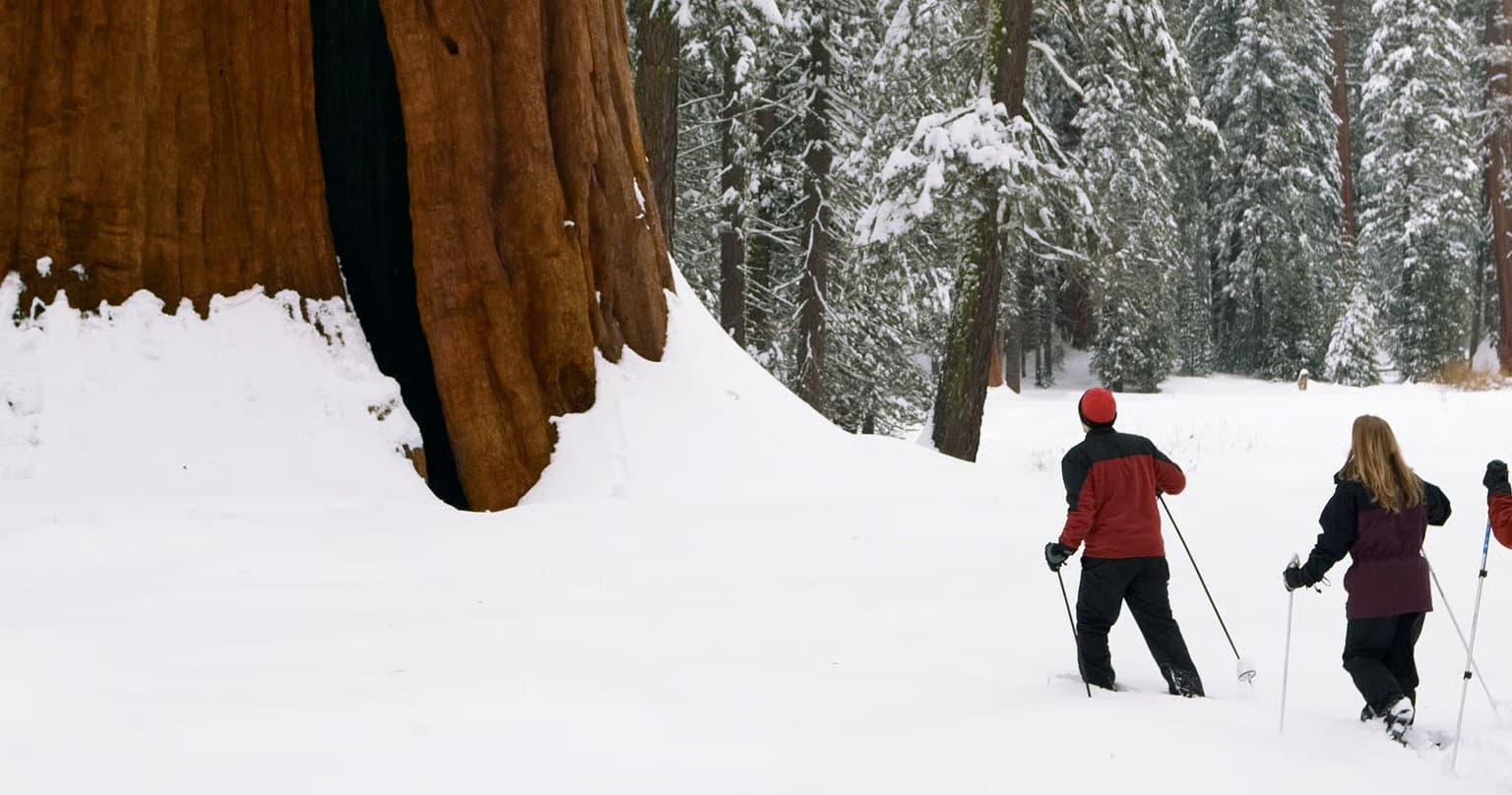 48-Hour Snowshoe Rentals at Lodgepole: Explore Sequoia's Winter Giants