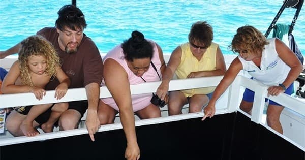 Glass Bottom Boat Cruises in Waikoloa Village, Hawaii