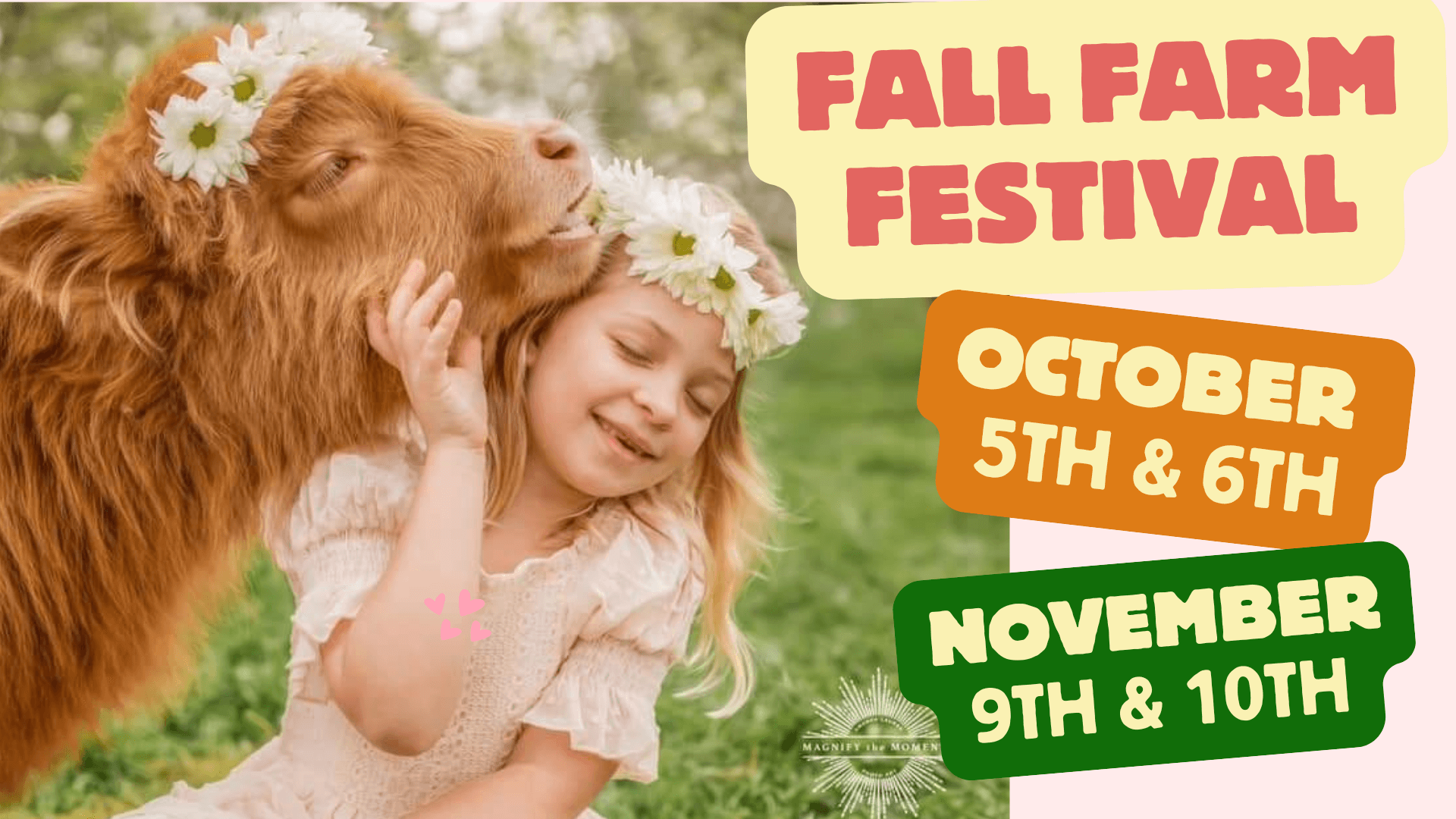 Fall Farm Festival in Brookshire, Texas: Fun for All Ages