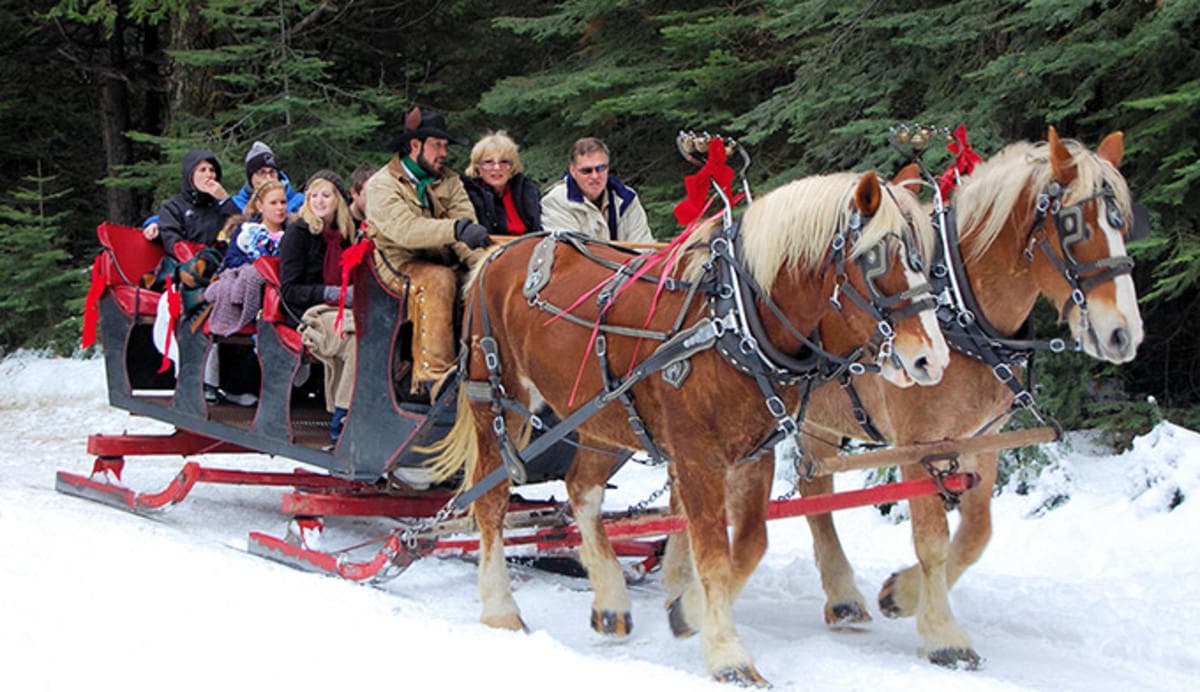 Horse-Drawn Sleigh Ride & Dinner by North Forty Escapes in Oakley
