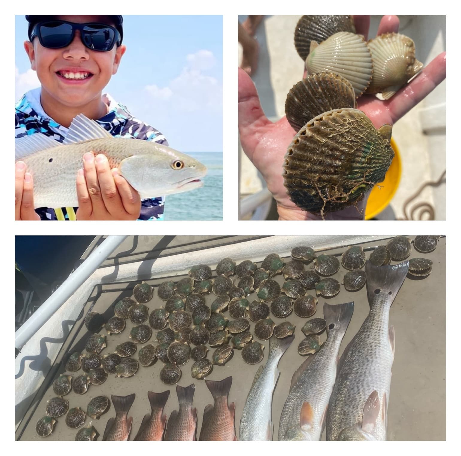 Yankeetown Fishing & Scalloping with Le Ruffian Adventures