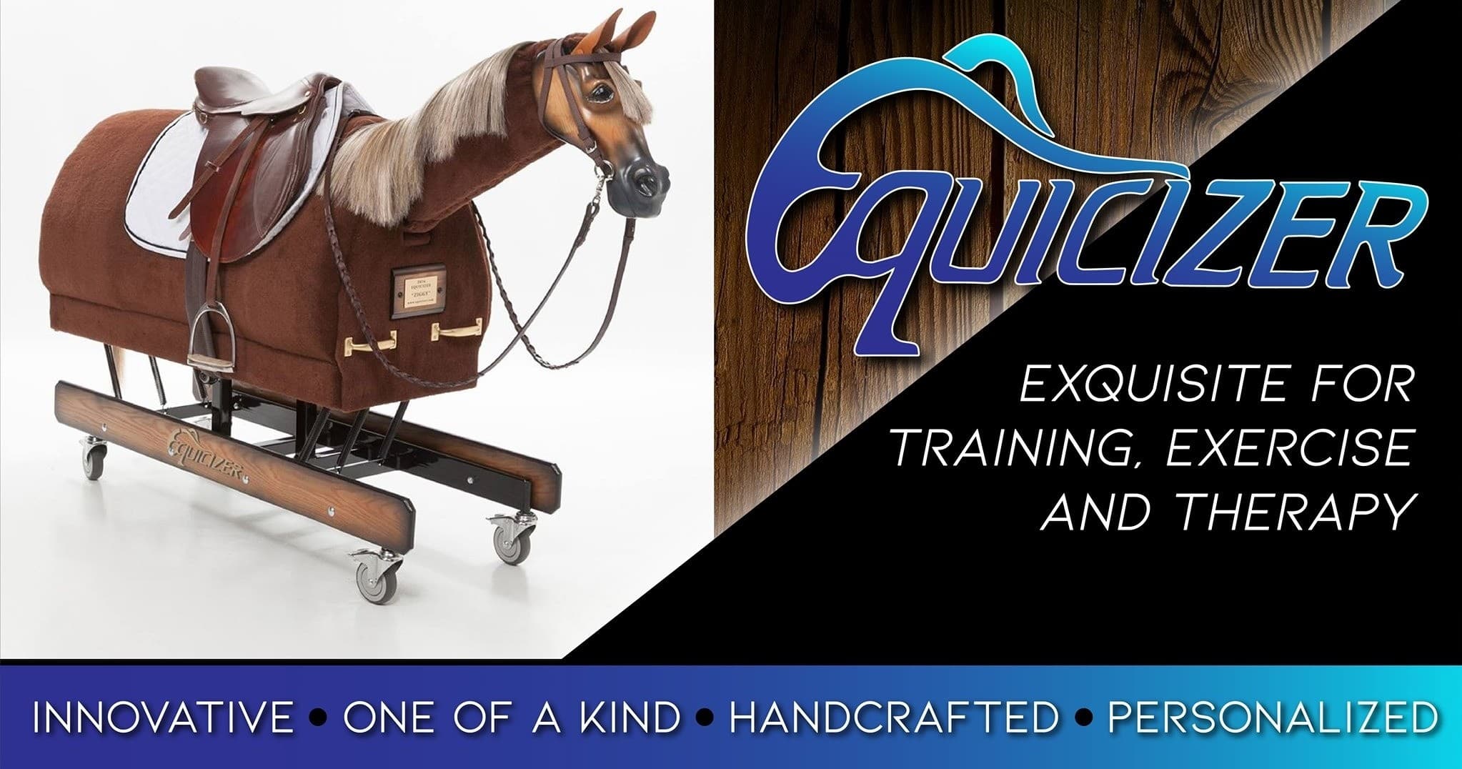 Land Adventures at Bonogin Valley Horse Retreat with Equicizer
