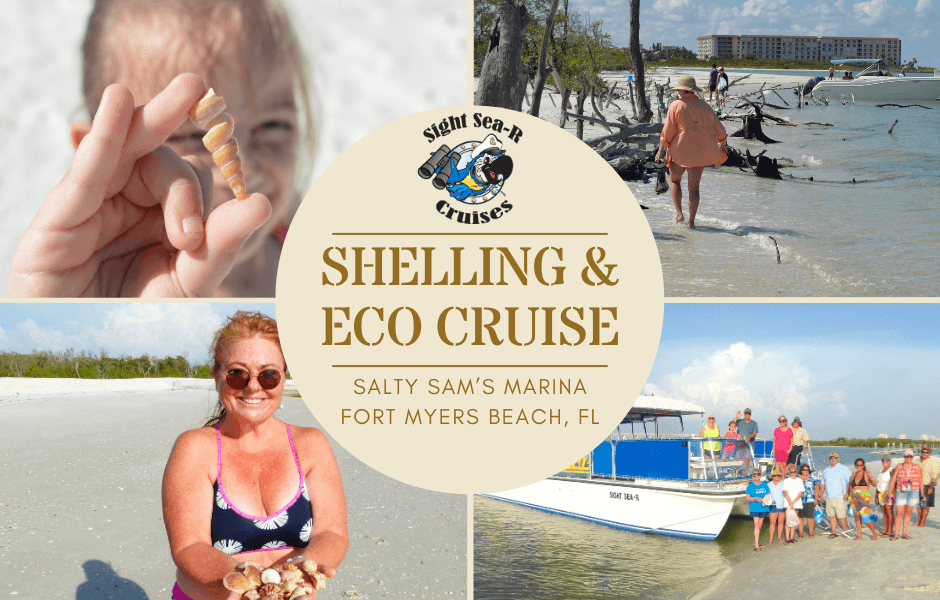 Water Activities: Shelling & Eco Cruise by Salty Sam’s Cruises