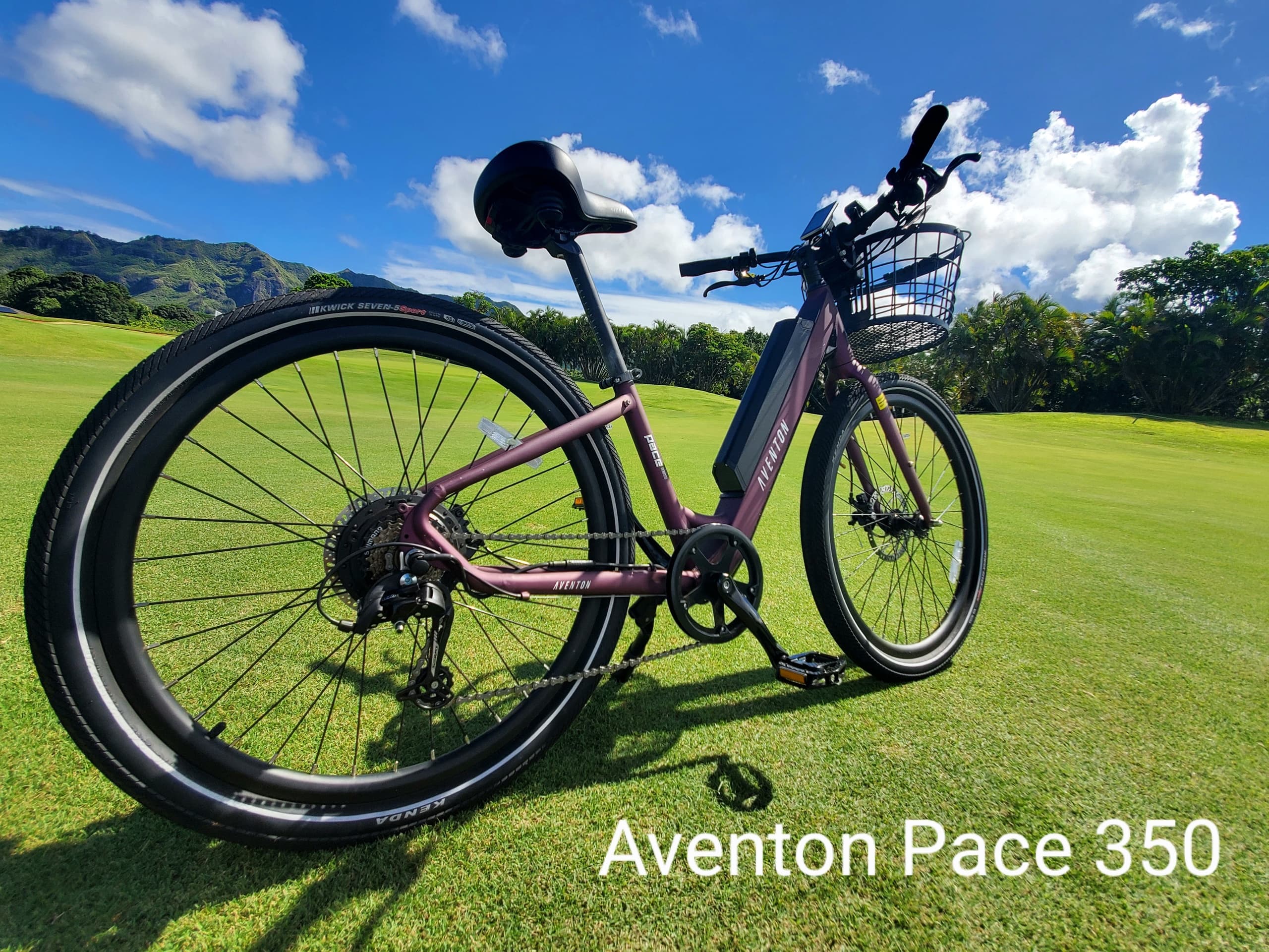 Kauai Ebikes: 5-Day E-Bike Rental in Koloa Hawaii