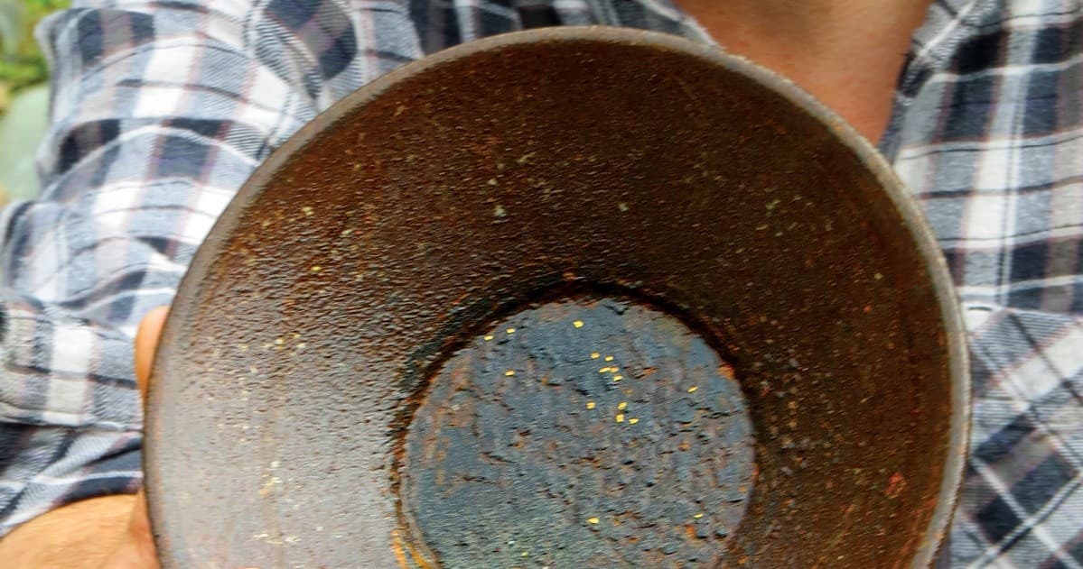 Experience Gold Rush History and Salmon Feast in Juneau’s Wild Rainforest