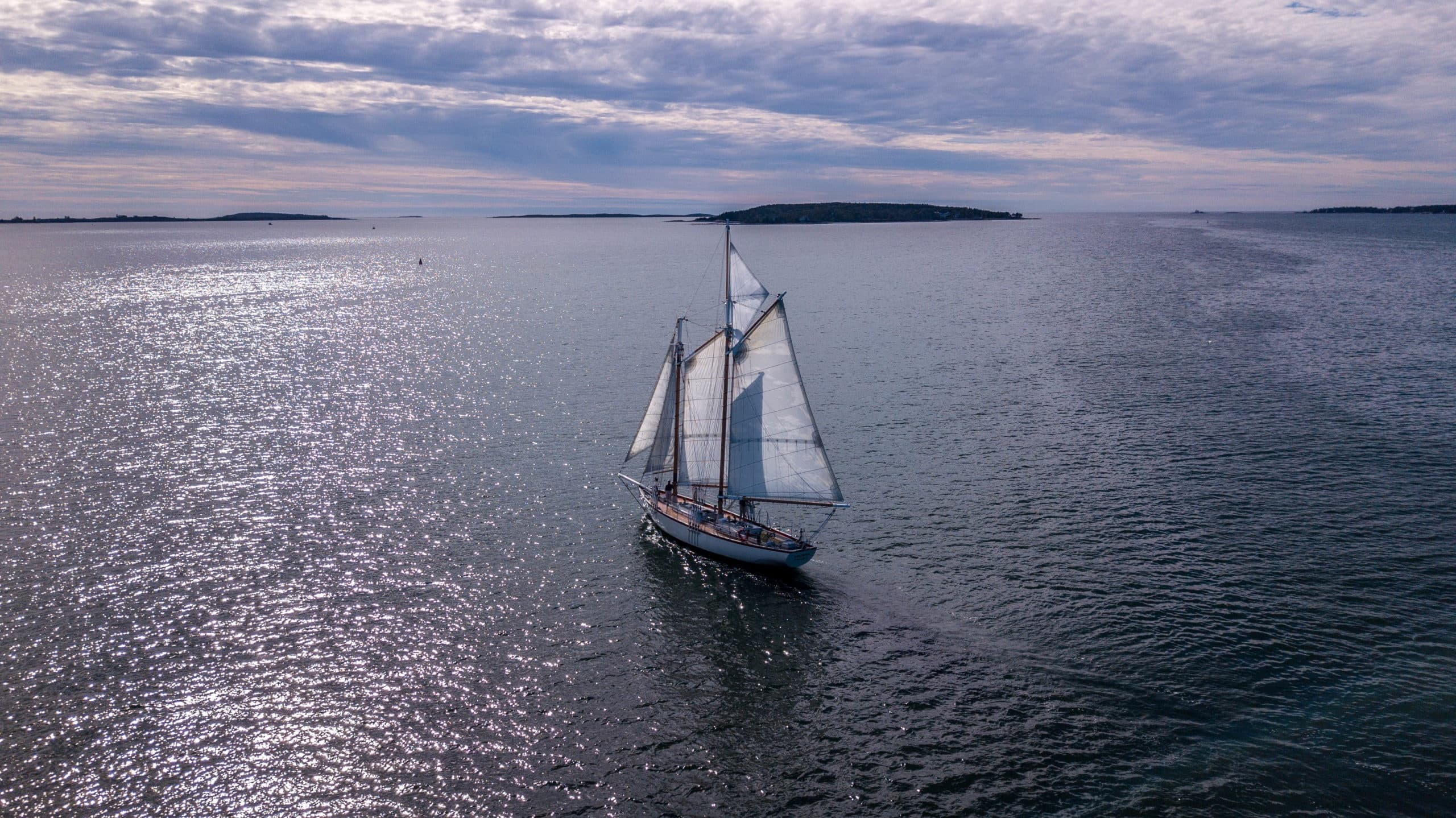 Boothbay Sailing fleet