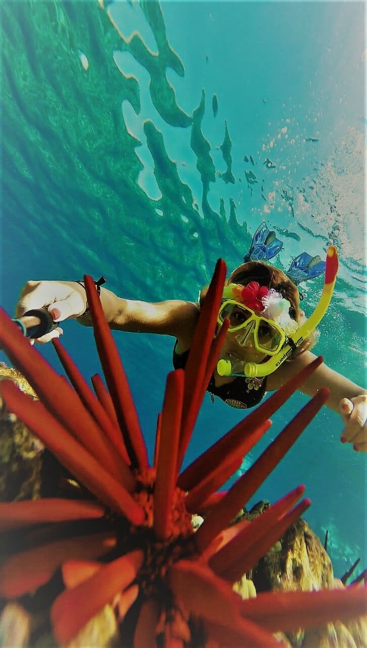 Snorkel Maui with Maui Reef Adventures at Molokini & Turtle Town