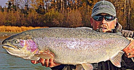 Kenai Trout Fishing Adventure in Alaska’s Wild River