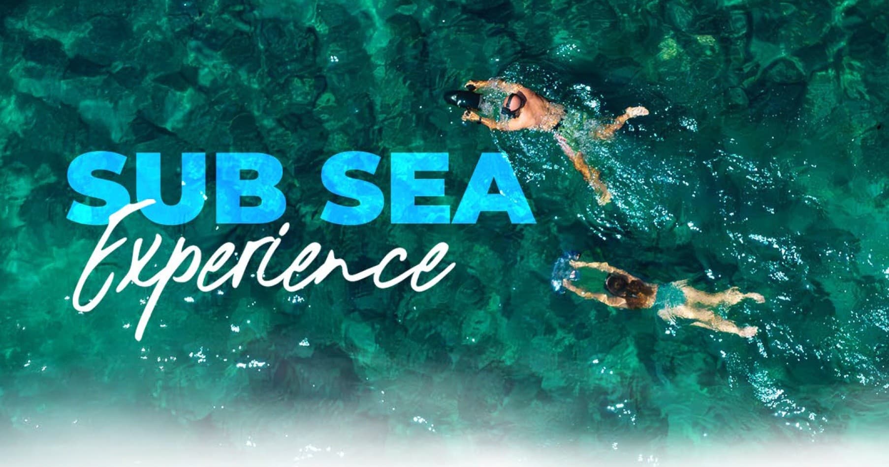 Underwater Adventure at Punta Mita Ocean Sports